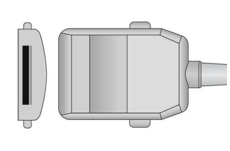 M21PEC08M